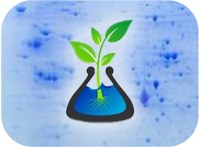 Plant Genomics and Proteomics