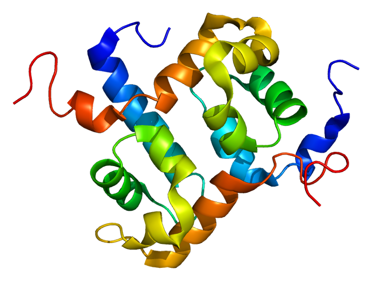 ERCC1 & DDB2 Functional and Structural In Silico prediction