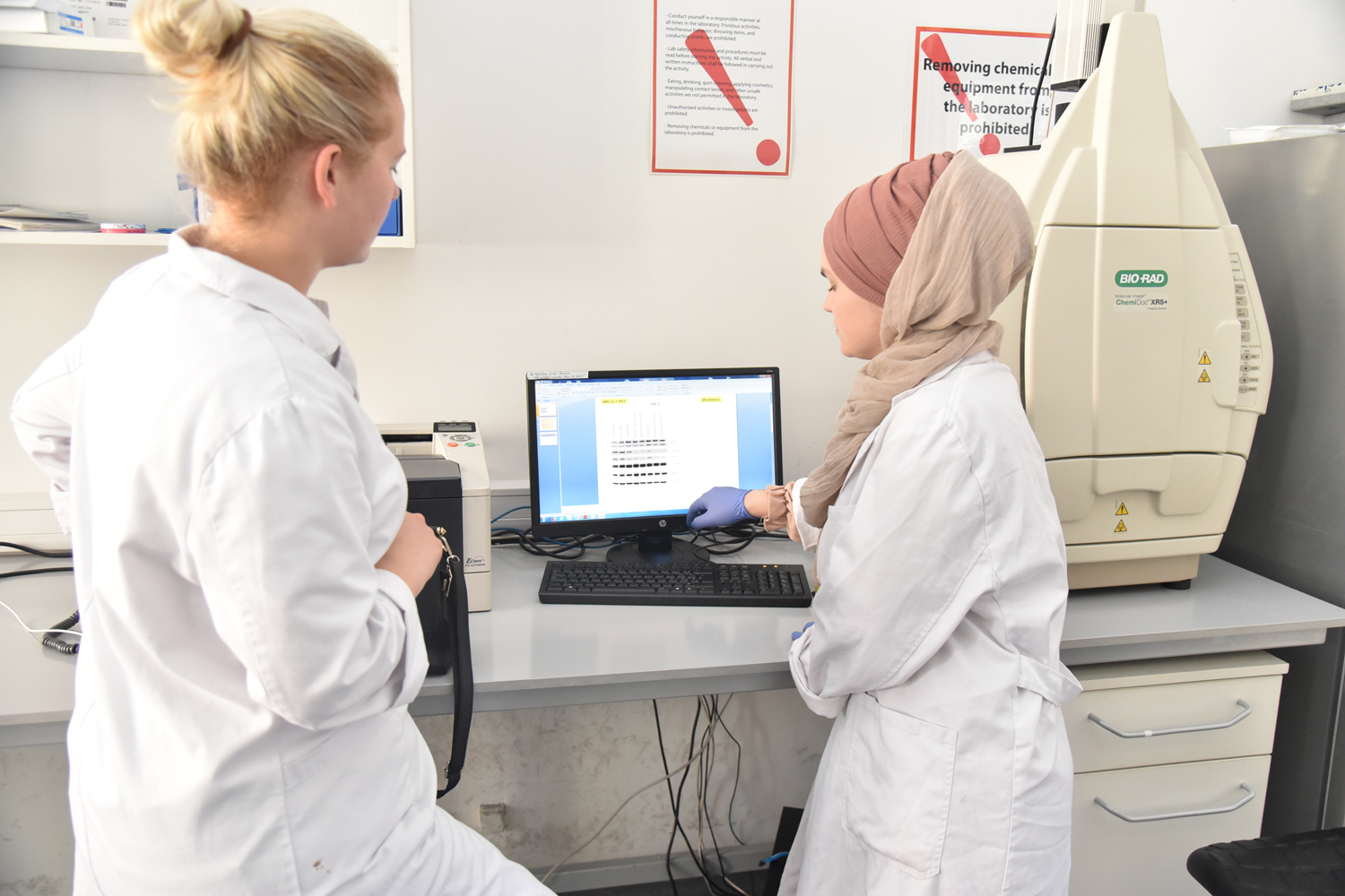 Combinatorial treatment of diffuse large B cell lymphoma with Metformin and novel therapeutic candidates