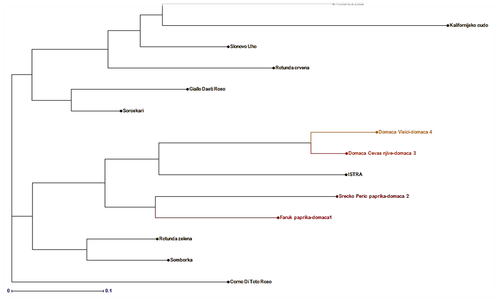 Methods for Genetic Assessment of Heavy Metal Accumulation Genes in Tobacco Varieties