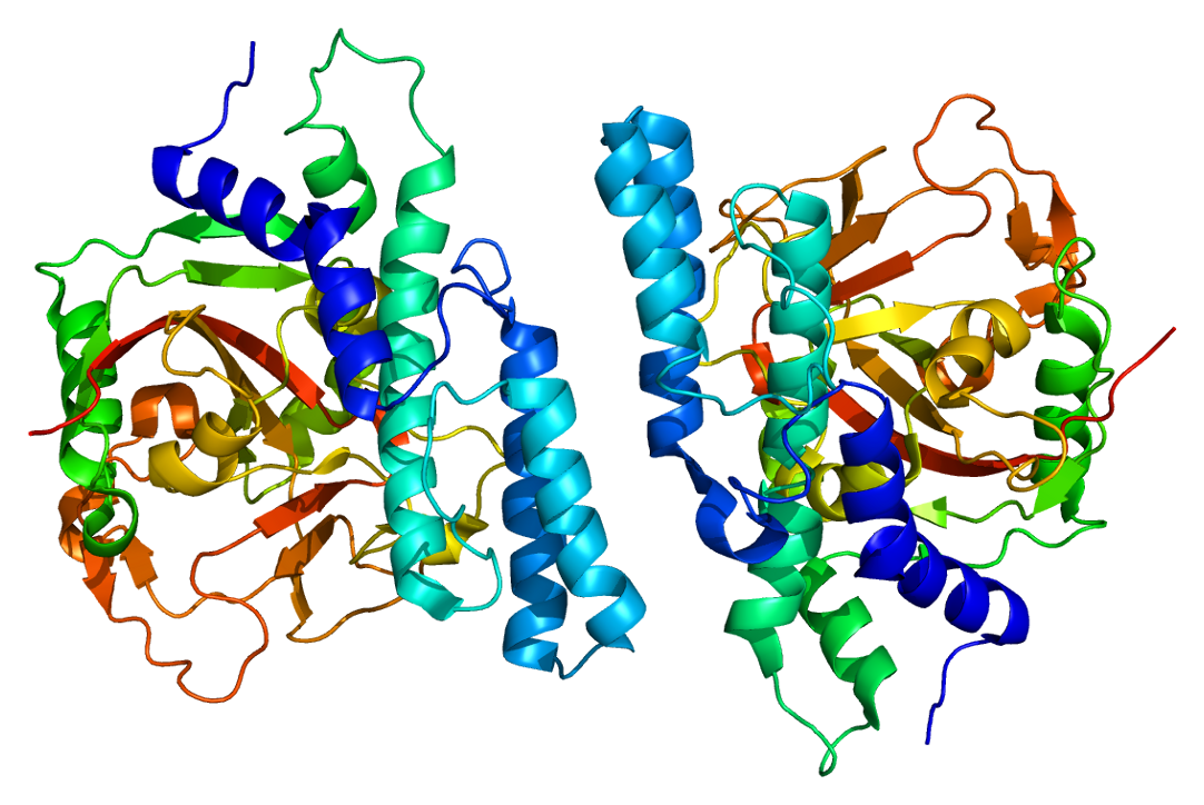 In Silico Analysis of Parp Proteins Considering Their Structural and Functional Characteristics in Arabidopsis Thaliana